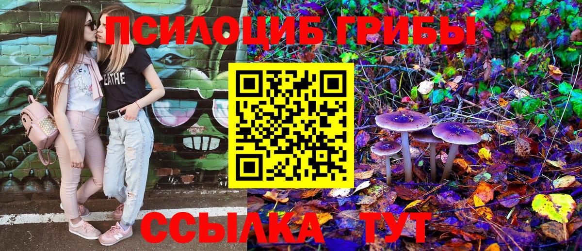 Галлюциногенные грибы Psilocybine cubensis Советский